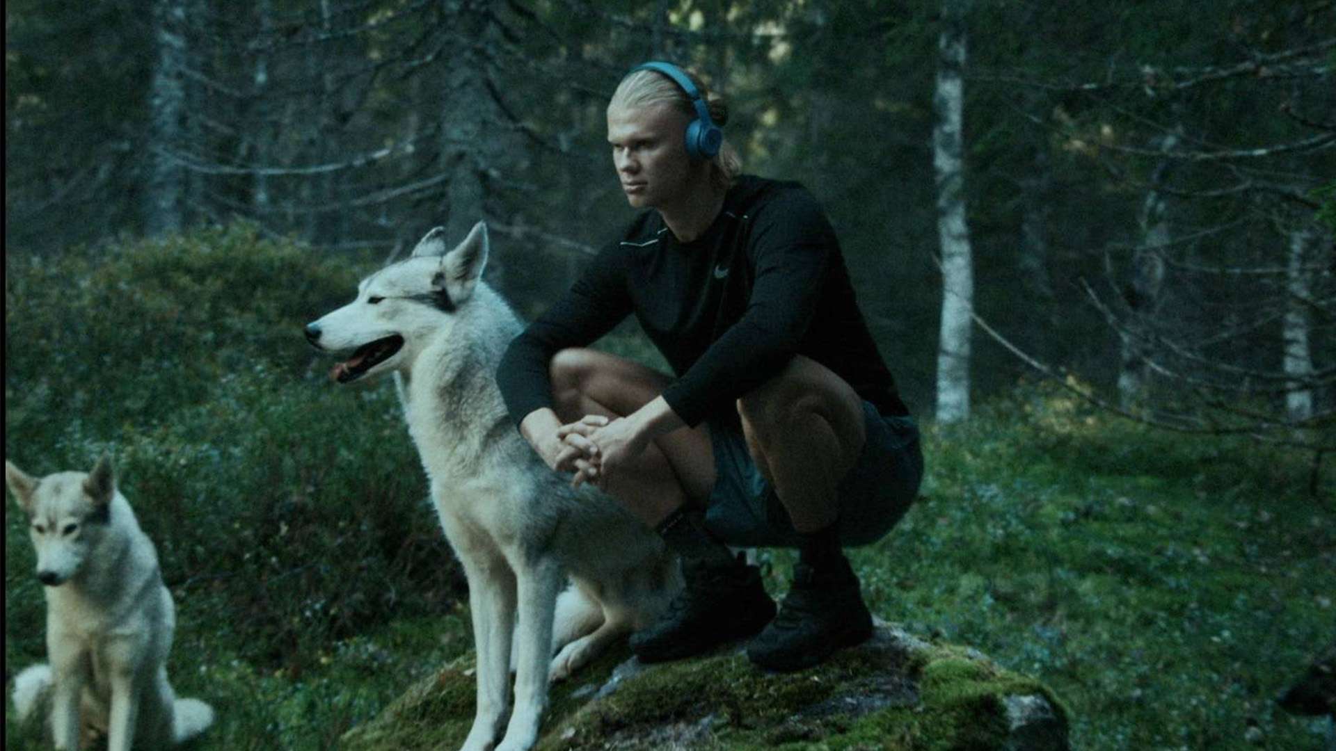 比赛初始 比赛初始