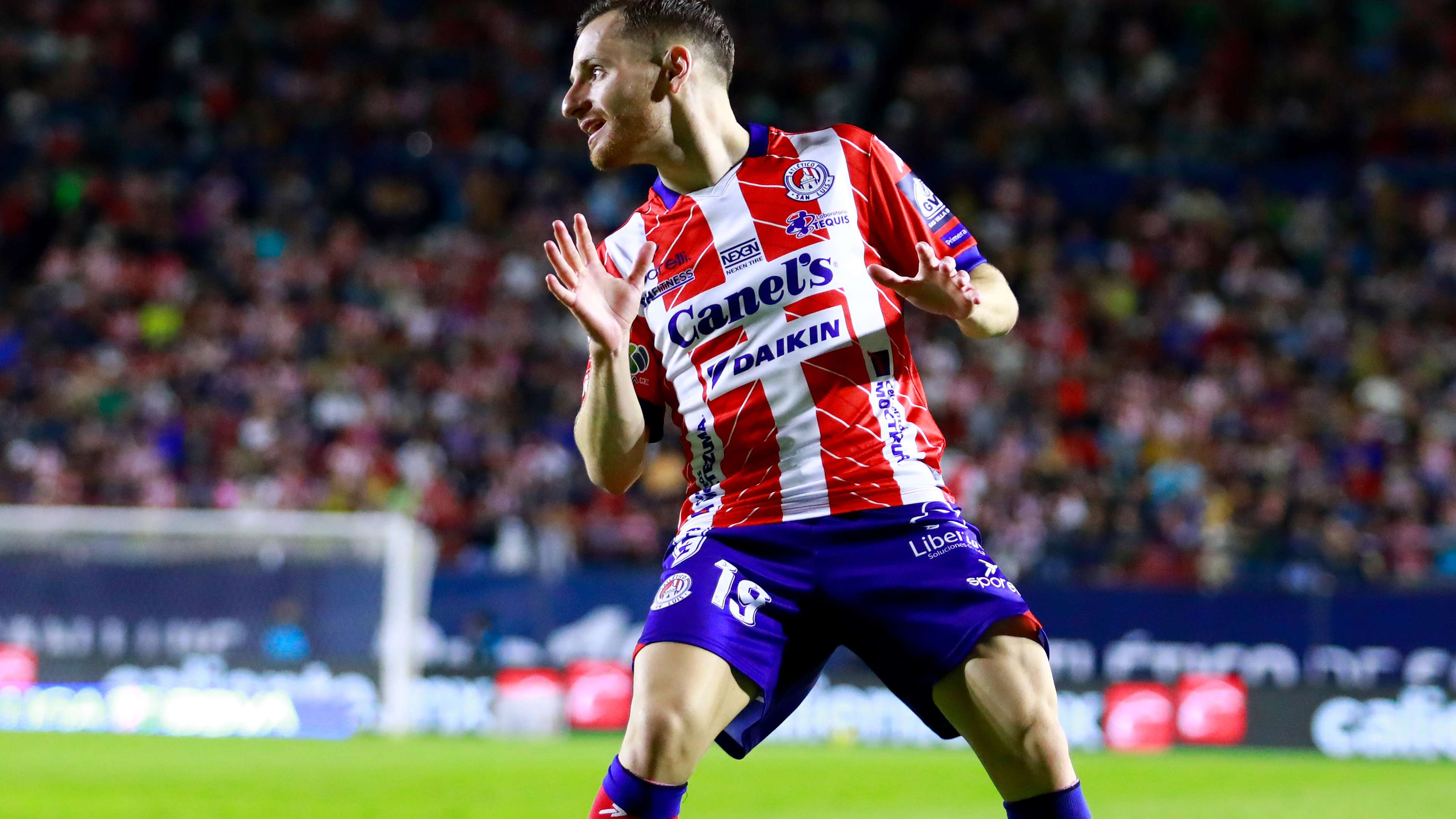 也能在现代 也能在现代